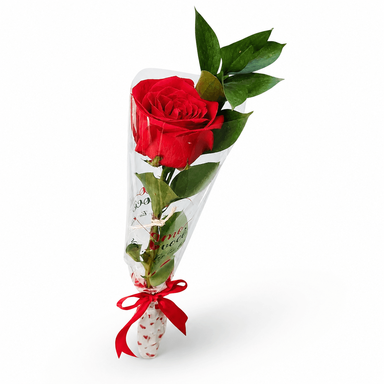 Rosa Solitária – Um Gesto que Diz Tudo